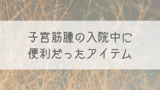 セントレア新施設フライトオブドリームズに子供とおでかけ 臨時駐車場が遠い ランチ 混雑は 愛知 名古屋 遊び ノジ子のこどもアンテナ