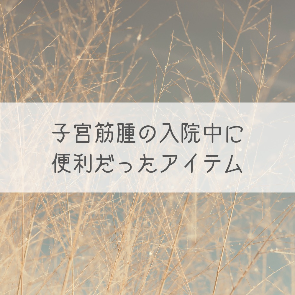 子宮筋腫の手術で役に立った入院グッズは 使い捨てアイテムが清潔でおすすめ ノジ子のこどもアンテナ